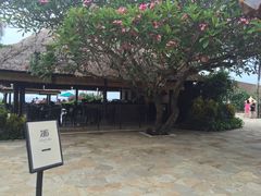 -Rock Bar Bali(Bali)