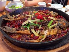 -老板恋上鱼(恒隆广场店)