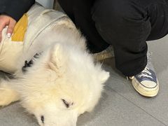 -南京国际贸易中心