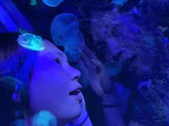 -台州海洋世界