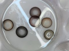 -miomi米欧米美瞳隐形眼镜(新世界大丸百货店)