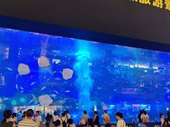 -成都浩海立方海洋公园