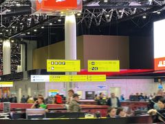 -谢列梅捷沃国际机场