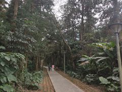 -福清灵石山国家森林公园