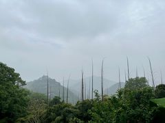 -莫干山风景区