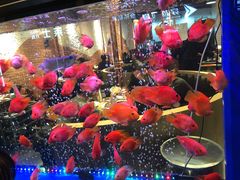 -釜山火炉韩式炭火烤肉(欧洲城店)