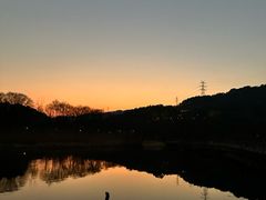 -西湖风景区-江洋畈生态公园