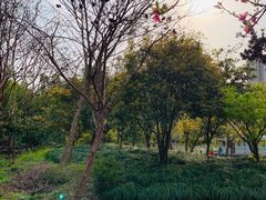 -苏州河梦清园环保主题公园