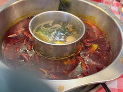 -金鼎雪山牦牛杂火锅(理县总店)