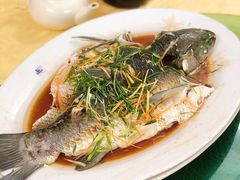 清蒸鲩鱼-西江河鲜·趣苑酒楼(鼎湖店)