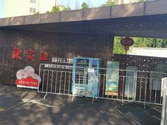 -陈家山荷花公园