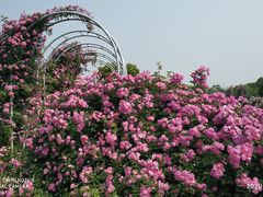 -尚贤河湿地