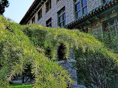 -北京协和医院-护士楼对外餐厅(王府井步行街店)