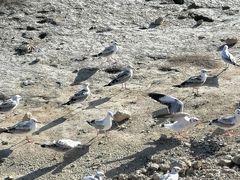 -西台吉乃尔湖