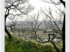 -上海佘山国家森林公园天马山园