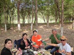 -蒲河岛湿地公园
