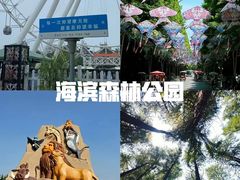-日照海滨国家森林公园