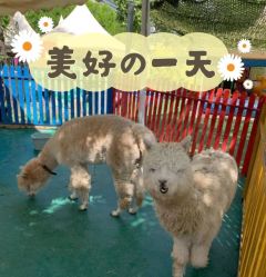 -萌宠亲子动物乐园(槐房万达店)