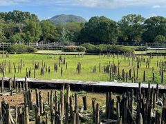 -河姆渡遗址博物馆