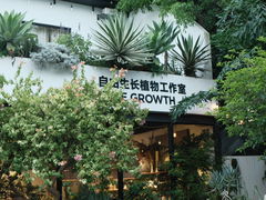 -自由生长植物工作室(深港花卉中心店)