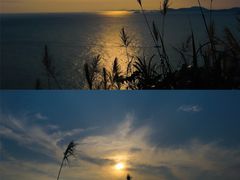 -东极岛景区