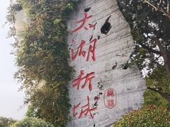 -贡湖湾湿地公园