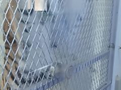 -西湖外事游船(花港观鱼码头)