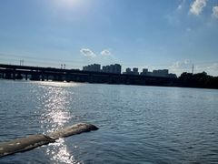 -长白岛森林公园