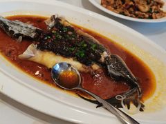 超级迷你小鲟鱼-万龙洲海鲜(大兴绿地缤纷城店)