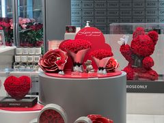 -ROSEONLY诺誓(国际广场购物中心店)
