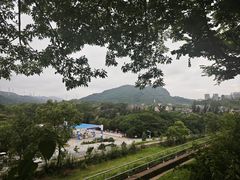 -白石龙音乐公园