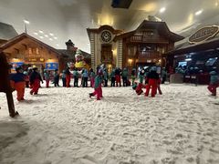 -长沙湘江欢乐雪域