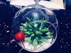 -上海齐鲁万怡大酒店·辣椒屋咖啡厅