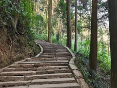 -青城山