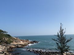 -广东惠东海龟国家级自然保护区