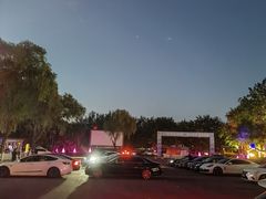 -枫花园汽车电影院(朝阳公园店)