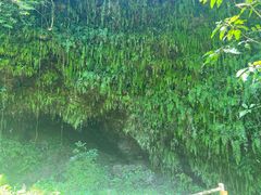 -海口火山口国家地质公园