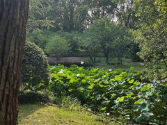 -金科路(地铁站)