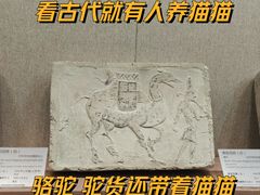 -敦煌市博物馆