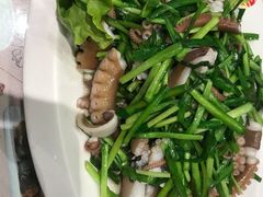 -添福来墨鱼饺子 · 海鲜东北菜(泡崖店)