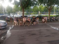 -小寒羊烧烤(凯瑞时代大厦店)