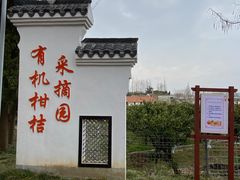 -上海长兴岛郊野公园