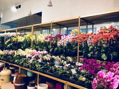 -双季花艺园艺市场(浦东店)