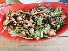 蘑菇鸡肉沙拉-Cafe Alice咖啡爱丽丝(奥城店)