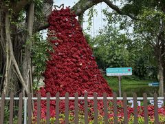 -深圳野生动物园