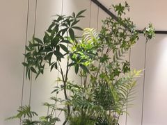 -炉鱼(萧山万象汇店)