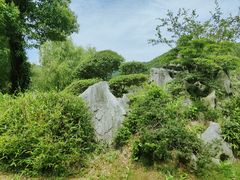 -孙武文化园-停车场