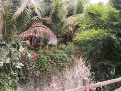 -海南槟榔谷黎苗文化旅游区
