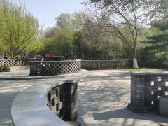 -桃花堤公园