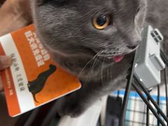 -瑞派福兴宠物医院犬猫全科·骨科·中西医结合(河东店)